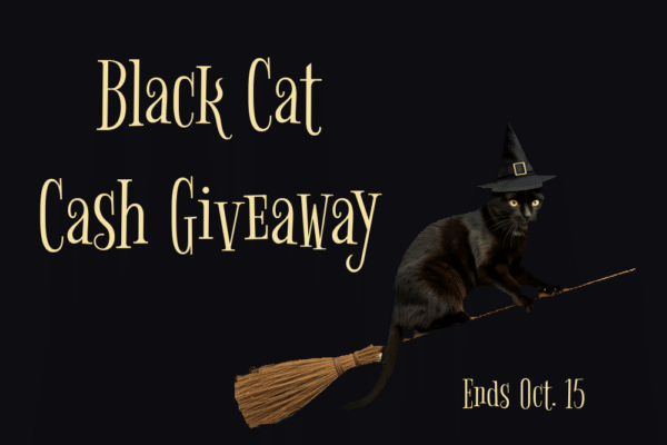 Umbreon the cat riding on a broom with a witch hat